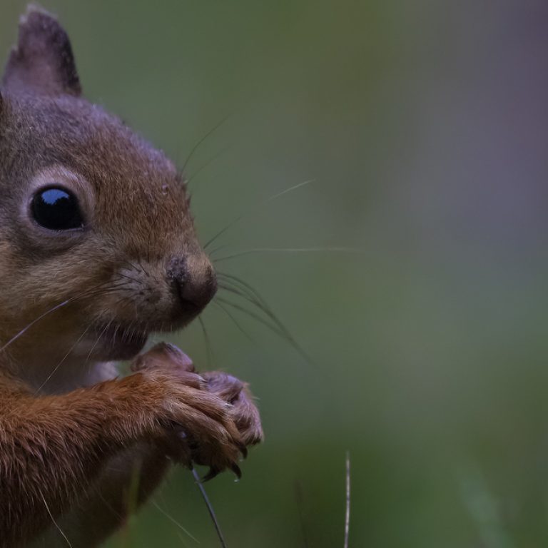 exc-5d07ee8462a30e000160a6e1