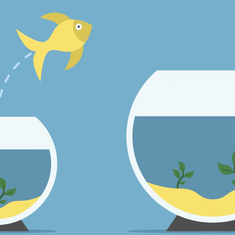 exc-5a5a04d10d9297fec7779227